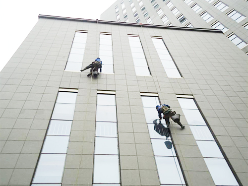 專業地毯清洗專家：怎么護理羊毛地毯